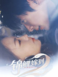 锦鲤嫁到 (67集) 贾舒宁 | 短剧