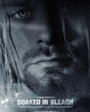 洗白白 Soaked in Bleach (2015) 1080p 原盘Remux 【18.13GB】已刮削