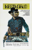 西部世界 Westworld (1973) 1080p 原盘Remux 中文字幕 【17.15GB】已刮削