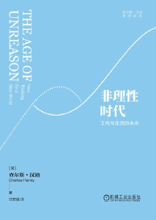 《非理性时代:工作与生活的未来》(epub)