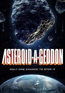 小行星大末日 Asteroid-a-Geddon (2020) 1080p 原盘Remux 中文字幕 【17.48GB】已刮削