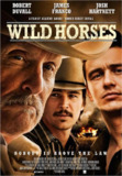 野马 Wild Horses (2015) 1080p 原盘Remux 中文字幕 【17.80GB】已刮削