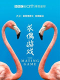 求偶游戏 The Mating Game (2021)