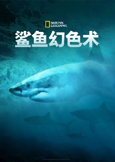 鲨鱼幻色术 Camo Sharks (2022)