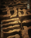 发掘记 (2021)