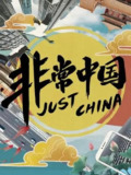 非常中国 (2019)