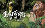 生命奇观 (2024)
