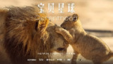 宝贝星球 Parenthood (2025)