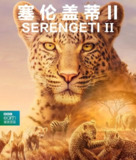 塞伦盖蒂 第二季 Serengeti Season 2 (2021)