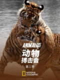 动物搏击会 第三季 (2015)