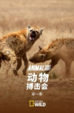 动物搏击会 第一季 Animal Fight Night Season 1 (2013)