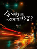 今晚你要去哪里 第二季 (2022)