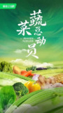 蔬菜总动员 (2024)