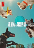 汪星人的奇思妙想 Inside the Mind of a Dog (2024) 1080p中英字幕 【纪录电影】