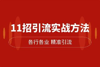 【精准引流术】11招引流实战方法，让你私域流量加到爆（11节课完整)
