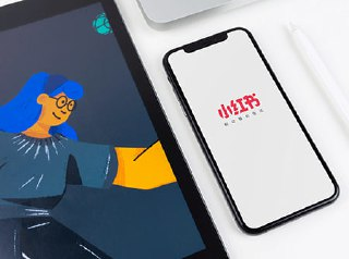 小红书IP打造60天实战营11期