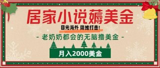 【居家小说薅美金】拆解海外撸美金项目月入2000美刀详细指导