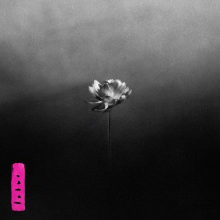 Little Simz - Lotus 2025 - ALAC高解析度无损 已刮削