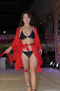 广州性文化节合集 [508P+14.7G]