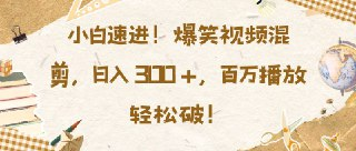 [全网精品项目] 小白速进，爆笑视频混剪，日入3张，百万播放轻松破【揭秘】