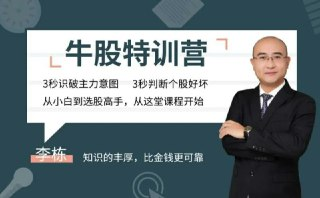 无为李栋老师《牛股特训营》从小白到选股高手 20节视频课