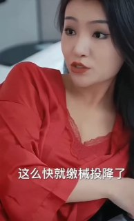 经典擦边短剧 夫人的秘密 全集无删减