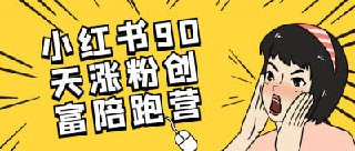 小红书90天涨粉创富陪跑营