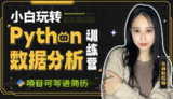 林粒粒呀《小白玩转Python数据分析训练营 (含AI专题) 》(超清无水印)