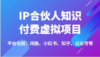 IP合伙人知识付费虚拟项目