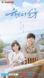 我凭本事单身 (2020)[百度网盘]