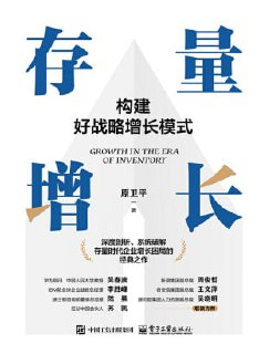 《存量增长：构建好战略增长模式》（epub）