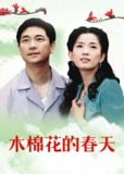 木棉花的春天 (2006)[百度网盘]