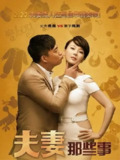 夫妻那些事 (2012)[百度网盘]