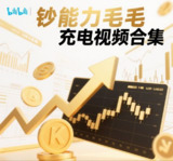 钞能力毛毛充电视频合集[百度网盘]