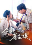 【短剧】何处惹尘埃＆让你上班你摘下高岭之花（69集全集）史宣洪＆邰靖懿