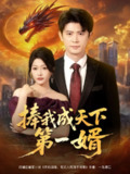 【短剧】捧我成天下第一婿（80集全集）王昭&杨添羽&一棉&罗思琪