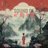 常静 & 张笛 - 旷野之声 (2023) EAC3 dolby atmos 杜比全景声