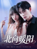 【短剧】北向暖阳（80集全集）赵文轩＆杨琳