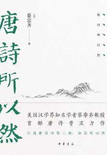 《唐诗所以然》（epub）