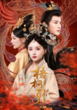 【短剧】梧桐引（70集全集）武敏&伍中元