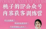 桃子IP公众号内容获客训练营，定位+爆款+私域营收全链路实战