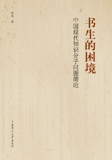 《书生的困境》(epub)[百度网盘]