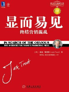 《显而易见：终结营销混乱》（epub）
