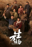 生万物 (2025) 4K 60帧 全集[百度网盘]