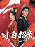 【短剧】小白招亲（78集全集）菲儿