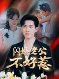 【短剧】闪婚老公不好惹（73集全集）朱湉亿&赵阿东