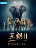 王朝 第二季 Dynasties Season 2 (2022)