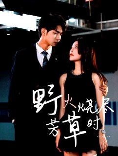 【短剧】野火烧尽芳草时（65集全集）黄垚＆闫妍