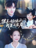 【短剧】狼王妈咪开门我是小灰灰（58集全集）陈政阳&王子甲