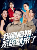 【短剧】我刚离婚系统就来了（80集全集）苏文文